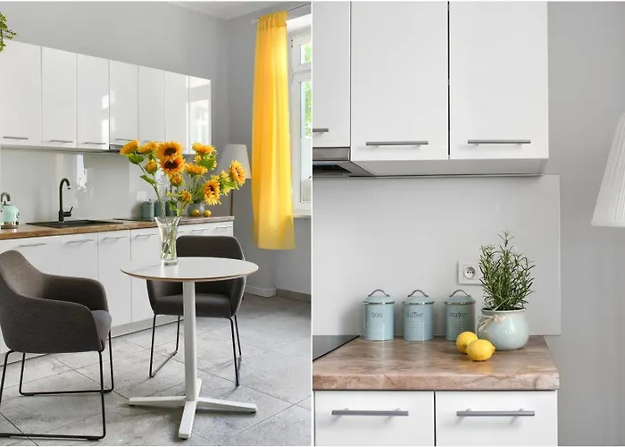 Spacious Apartament In The Heart Of Poznan