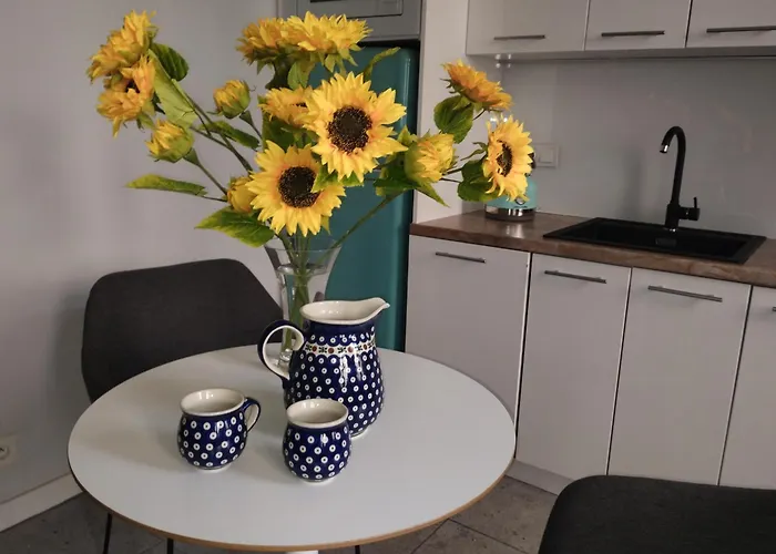 Spacious Apartament In The Heart Of Poznan