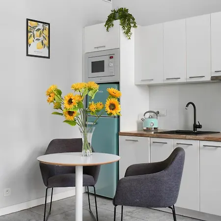 Spacious Apartament In The Heart Of Poznan Exterior foto