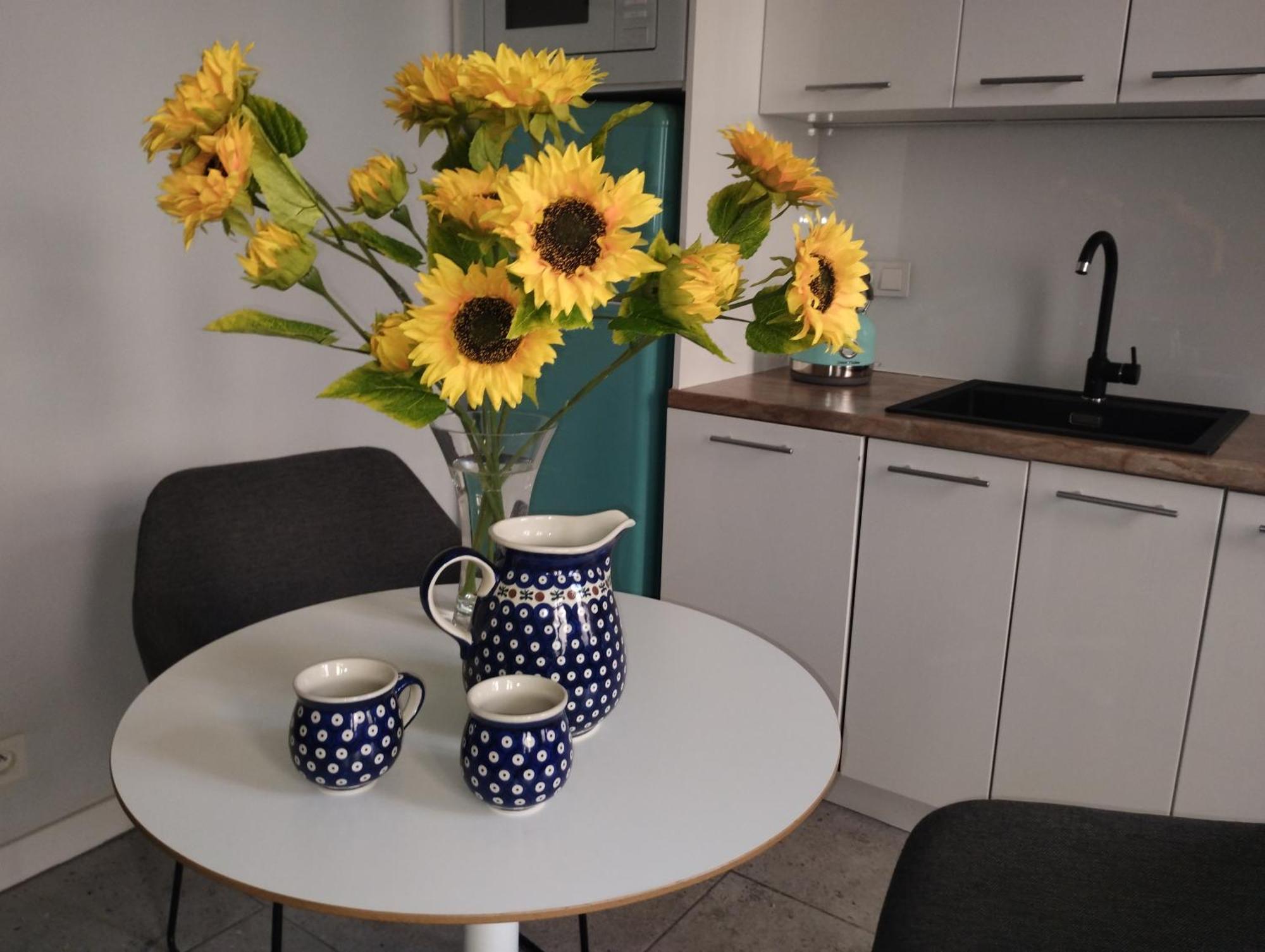 Spacious In The Heart Of * Poznan