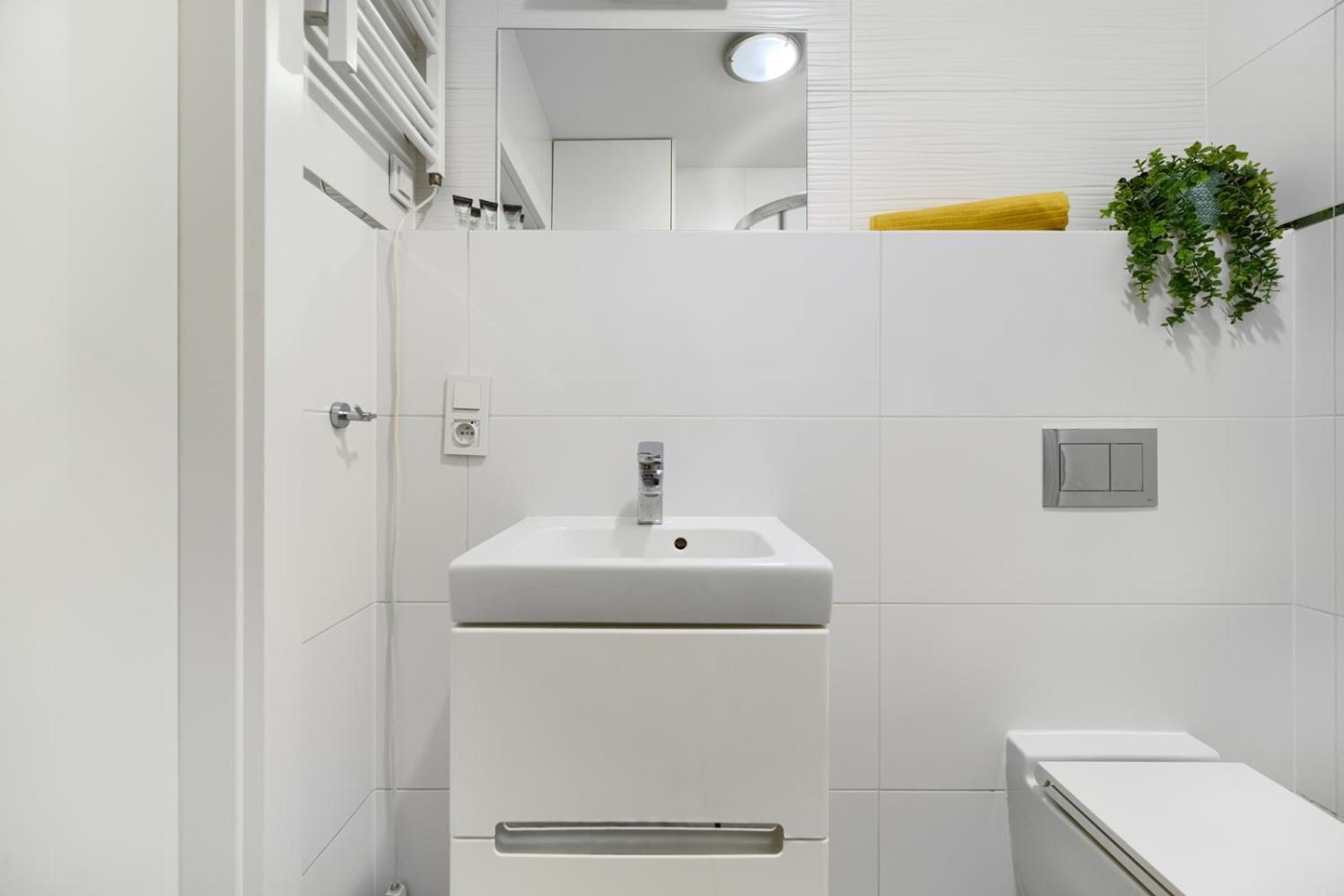 Spacious In The Heart Of Apartment Poznan